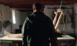 触在线观看,探索虚拟世界的无限魅力